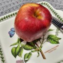 금당골농장 이미지