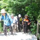 과우산악회 2019. 7월 남산둘레길 산행(*산책) (2-1) 이미지