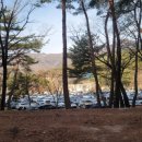 거제해맞이 | 거제에서 통도사 가는 길 🌅1월 1일 신정 통도사 방문 후기 (주차·정체·달력 배부 정보) 해맞이