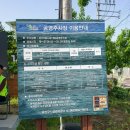 비아5일시장1 이미지