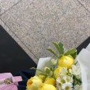 셀라비플라워 이미지