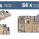 숲속의아침3 이미지