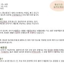 솔로몬국제여행사 이미지