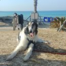 재기농산 이미지