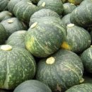 유수농장 이미지