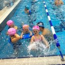 하비엘럭스 이미지