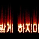 수지베스트