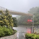 크로스핏 진주 이미지