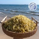 주식회사바다 이미지