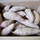 시골식품 이미지