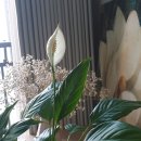 CU 춘천소양강점 | 2026. 3월 #2