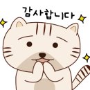 성공을 부르는 비즈니스 스피치 이미지