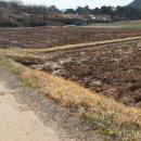 양지-2853 이미지