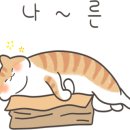 편하개 놀다가냥 이미지