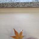 낙엽 책갈피 만들었소ㅋㅋ 이미지