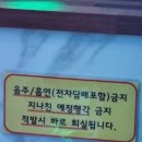 엔젤코인노래연습장 이미지