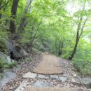 백운산 등산로 이미지