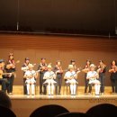 알로하~우쿨렐레 이미지