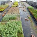 양촌목장 이미지