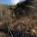 적량면사무소 이미지