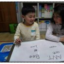 더듬이PC 이미지