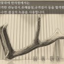 연꽃위에한의원 이미지