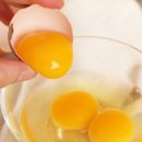 바른농장계란 이미지