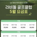 라비돌