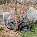 서부리 삼층석탑(西部里 三層石塔) 이미지