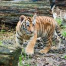 강산마트 - 부안군 석정로 175 | 강산마트