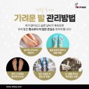 레푸스 진천혁신도시점