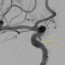 명성초등학교내 이미지