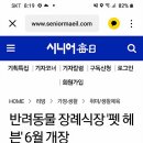 반려동물 장례식장 '펫헤븐" 6/1 개장_석종출 동기 이미지