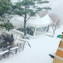 하추 사계절 이미지