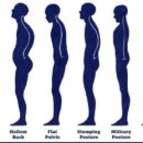 라인업 체형교정 이미지