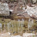 하늘목장 이미지