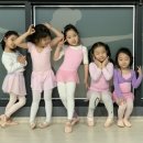 도안더에이치발레학원 이미지