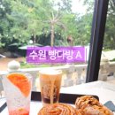 수원-0860 이미지