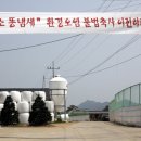 우리돼지소 오마이뉴스