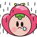 키즈팔래스 이미지