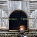 연옥농장 이미지