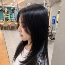 리안헤어 선부점 | 안산 미용실 선부동 미용실 추천: 리안헤어 선부점 수연 디자이너의 슬릭컷 레이어드컷 후기
