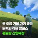 가을목장 | 태백 몽토랑 산양목장 입장료 카페 메뉴까지 가을에 다녀온 후기