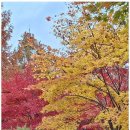 파트너 행정사 사무소 이미지