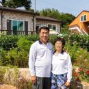 금당백련 이미지