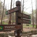 인덕원역 1번출구 1-1 이미지