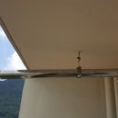 사파동250 이미지