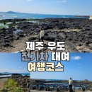 비자림스마일 | 제주우도 전기차 대여, 우도 여행코스