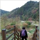 상전면사무소 이미지