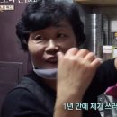경희약초마을
